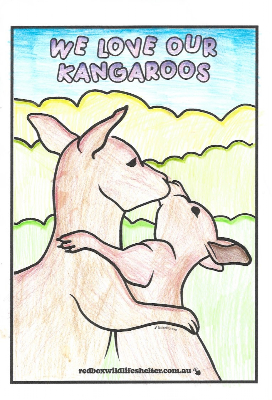 Gallery – Kangaroo Rangers